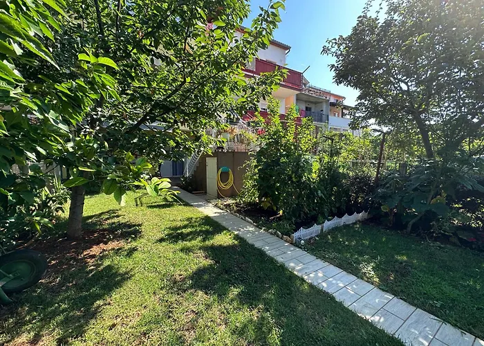 Petrovski 公寓 *